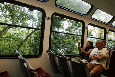 Half Day in Rio: Christ by Train, Maracanã, Cathedral & Selarón