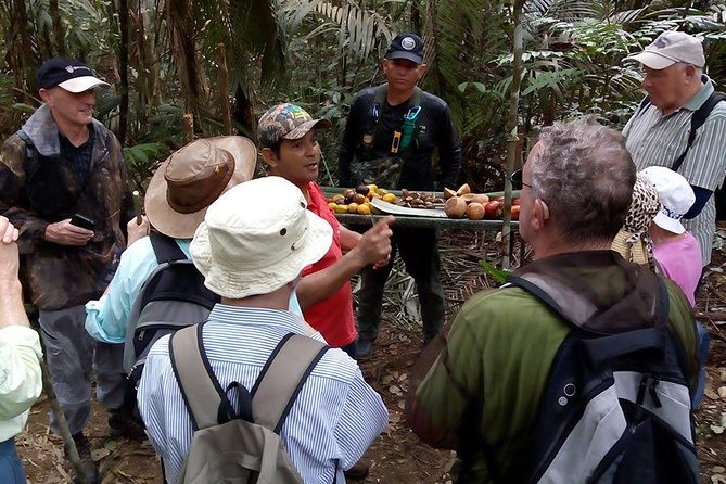 Half Day Tour- Jaguar Jungle Survival - Amazon Rainforest - From Manaus - Guide quality and the small-group advantage