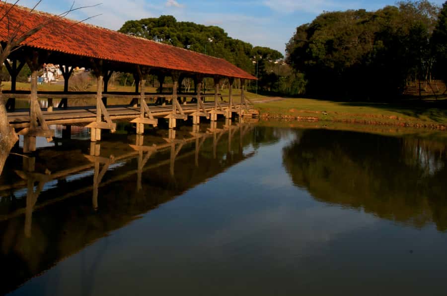 Half-Day Tour of Curitiba City - The Botanical Garden and a classic Curitiba view