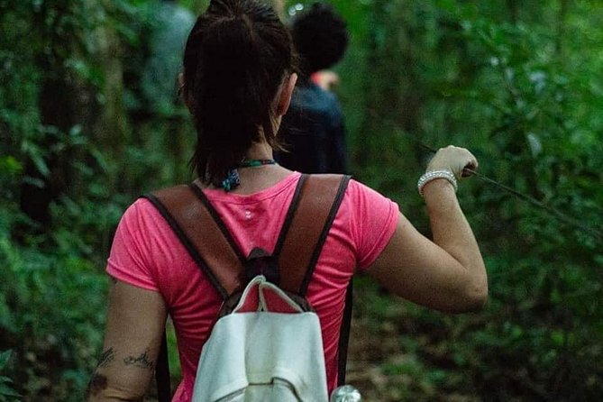 Hike through Secret Waterfalls in Foz do Iguaçu (Part-time - Morning) - The 400-meter Carimã Trail brings two more waterfalls