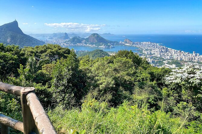 Hiking in the Tijuca Forest : Waterfalls and Caves - Forest trails, wildlife, and the real level of effort