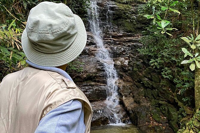 Hiking in the Tijuca Forest : Waterfalls and Caves - Taunay Waterfall, Tijuca’s most famous cascade