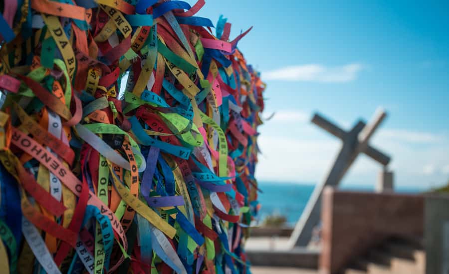 Historic City Tour in Salvador - Who should book this Salvador tour?