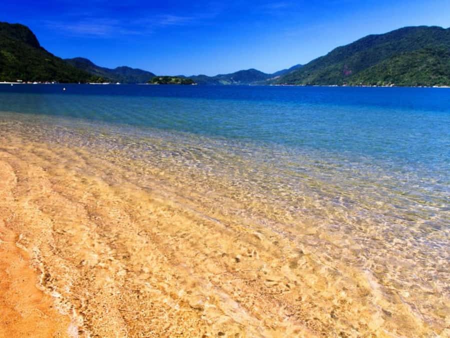 Idyllic Islands Private Speedboat Tour in Paraty - Why A Private Group Can Be Worth The Price