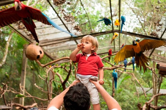 Iguaçu Bird and Waterfall Park - Macuco Safari can change the whole waterfall visit