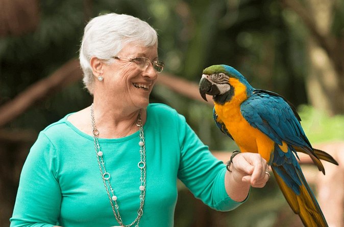 Iguaçu Bird and Waterfall Park - Lunch at Porto Canoas comes with a river view