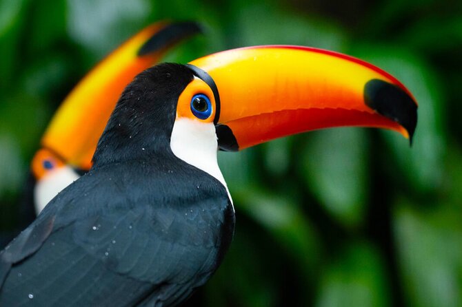 Iguaçu Bird and Waterfall Park - What the tour costs after the extras