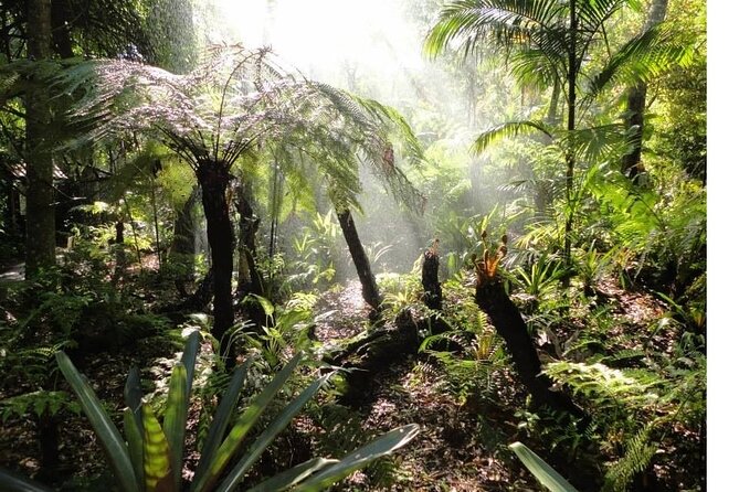 Iguaçu Waterfalls Brazilian Side + City Tour - Why Devil’s Throat Is the Main Event