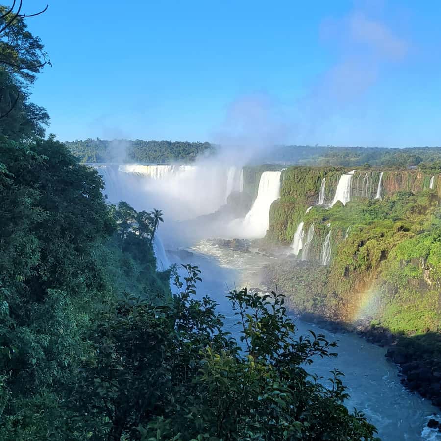 Iguassu Falls: Brazilian Side Private Tour - How the guides shape the day