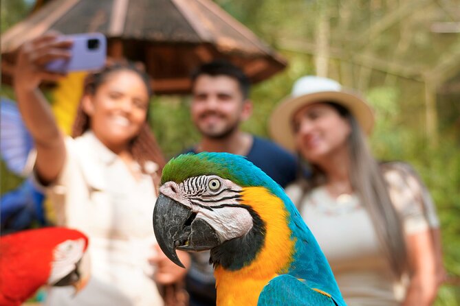 Iguassu Falls - Brazilian Side With Ticket - Pickup, timing, and the no-show warning
