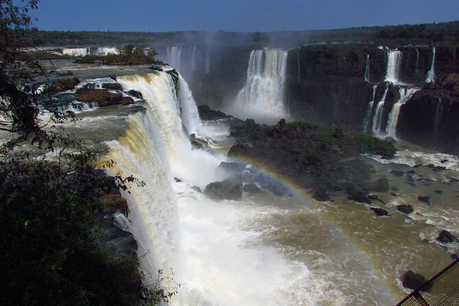 Iguassu Falls on the Brazilian Side: Macuco Safari, Helicopter Flight, Bird Park - Macuco Safari: The Part That Gets You Wet