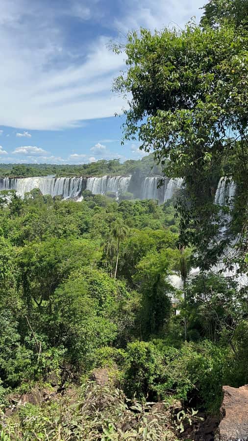 Iguassu Falls: Private Tour Argentina side - The ecological train into the rainforest