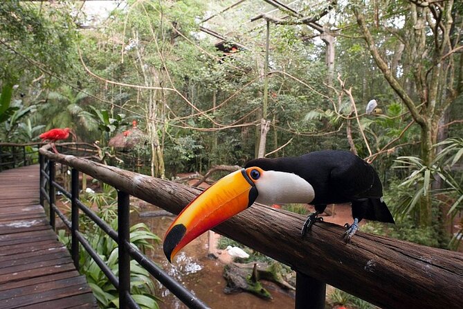 Iguassu Falls Private Tours - Itaipu Dam adds a very different kind of spectacle