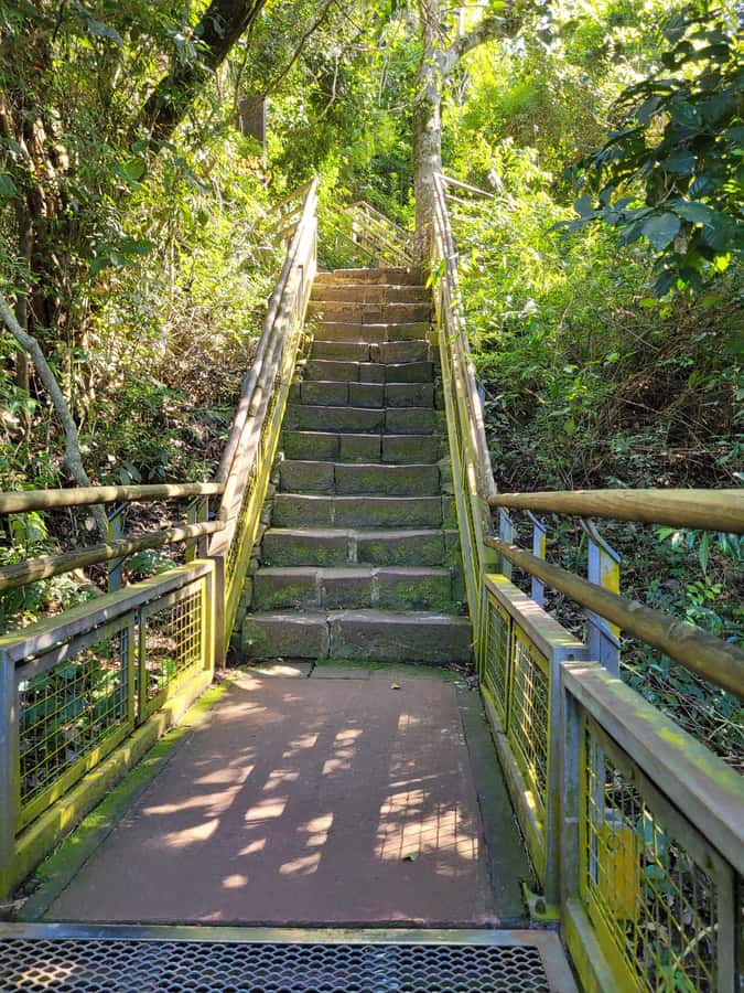 Iguassu Waterfalls Private Day Tour: Both sides, same day! - Macuco Safari turns the final hours into a splash