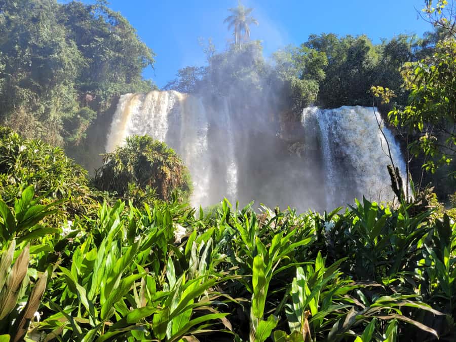 Iguassu Waterfalls Private Day Tour: Both sides, same day! - What the private guide adds