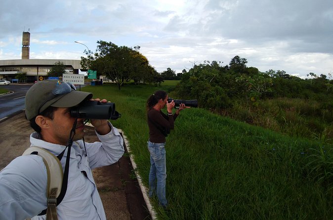 Iguazu Expeditions Morning Birdwatching - The Hummingbird Garden Stop