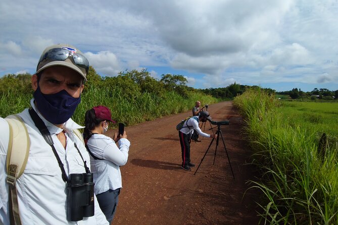 Iguazu Expeditions Morning Birdwatching - A Guide Who Works at Your Pace
