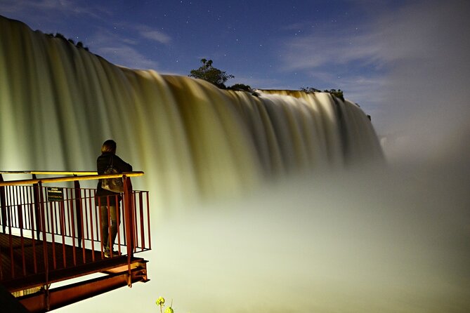 Iguazu Falls: Argentina and Brazil on the Same Day All Included - The English Guide Question