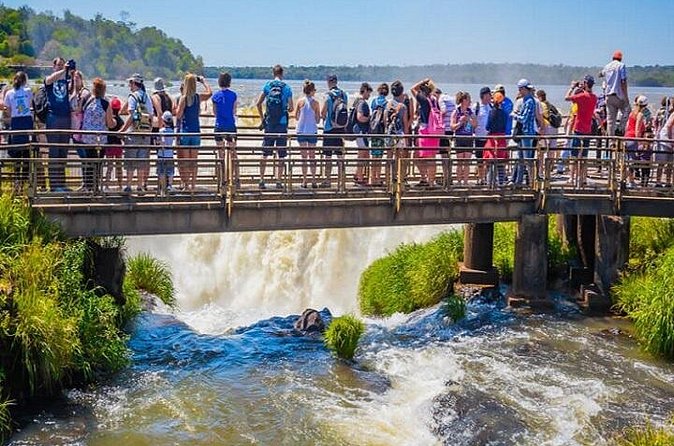 Iguazu Falls: Argentina and Brazil on the Same Day All Included - Is $229 a Fair Price?