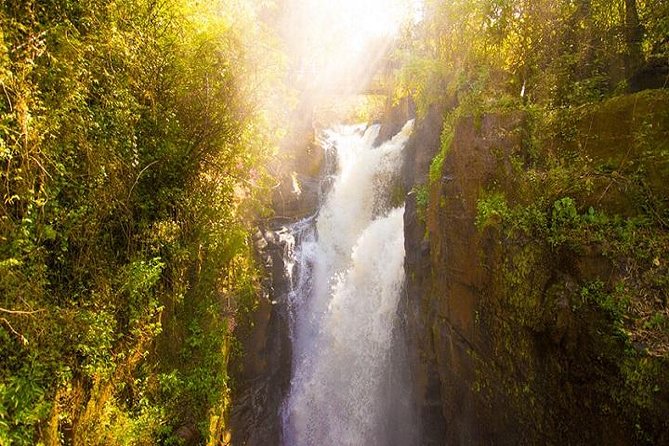 Iguazu Falls: Argentina and Brazil on the Same Day All Included - The Argentine Side: Four Hours on Forest Trails