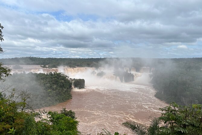 Iguazu Falls: Private Tour to Argentina Falls - What the guide adds to the day