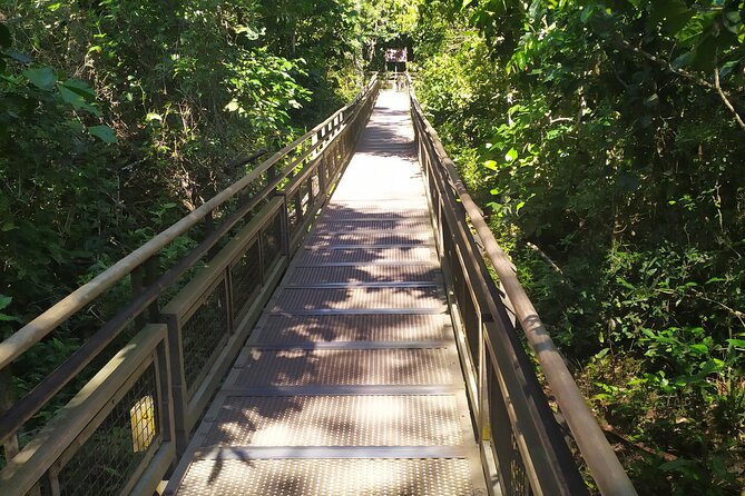 Iguazu Falls Private Tour: Two Countries in One Day - Parque das Aves: a useful one-hour wildlife stop