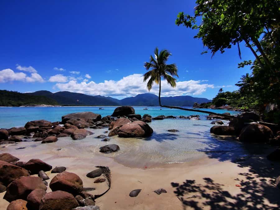 Ilha Grande: 360° Circumnavigation Speed Boat Tour - 8h - Starting at Vila do Abraão and the first coastal views