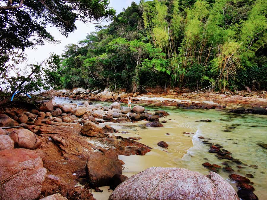 Ilha Grande: 6-Hour Speedboat Tour to Blue and Green Lagoons - What the Portuguese-only format means