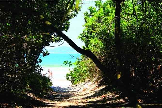 Ilha Grande - From Abrãao: Lopes Mendes beach tour & trekking - Who will enjoy this outing most