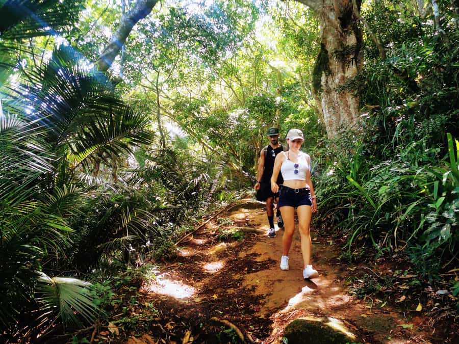 Ilha Grande: Lopes Mendes Private Hiking Tour - Key points at a glance