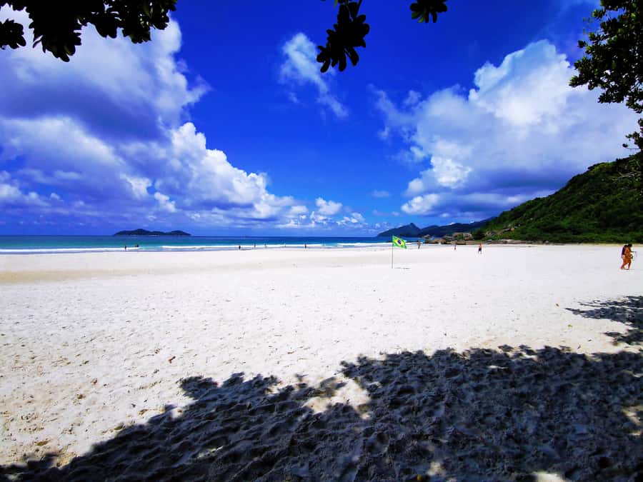 Ilha Grande: Lopes Mendes Private Hiking Tour - Is the $224 price good value?