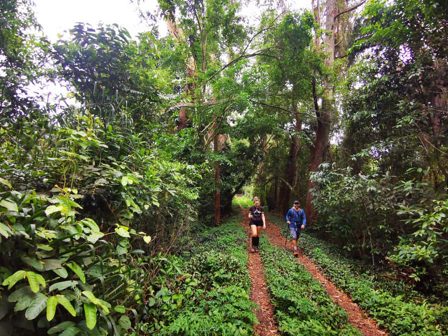 Ilha Grande: Lopes Mendes Private Hiking Tour - Free time at Lopes Mendes Beach
