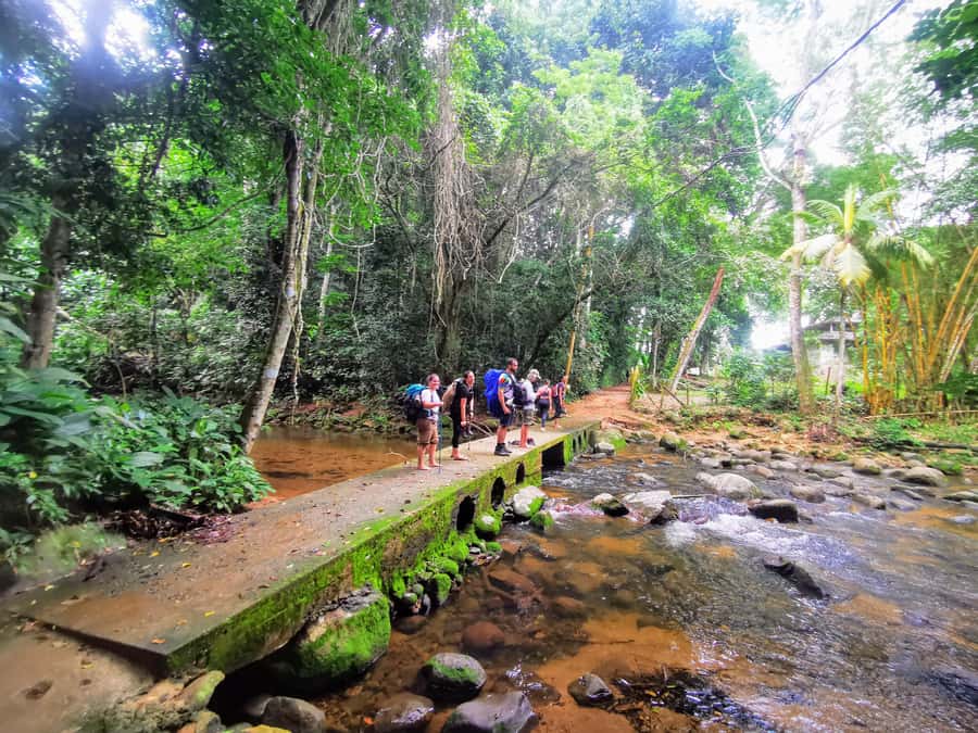 Ilha Grande: Private Hiking with Forest, Beaches & Waterfall - Key points at a glance