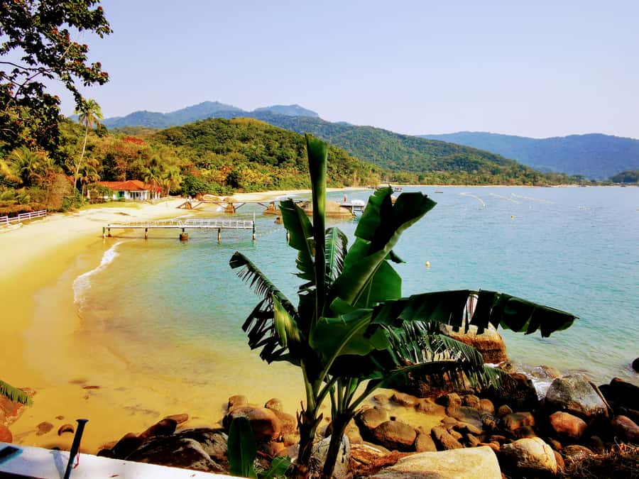Ilha Grande: Private Hiking with Forest, Beaches & Waterfall - Two hours through Atlantic Rainforest
