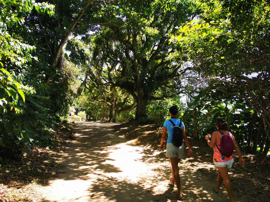 Ilha Grande: Private Historic Walking Tour with Natural Pool - Should you book the private historic walk?