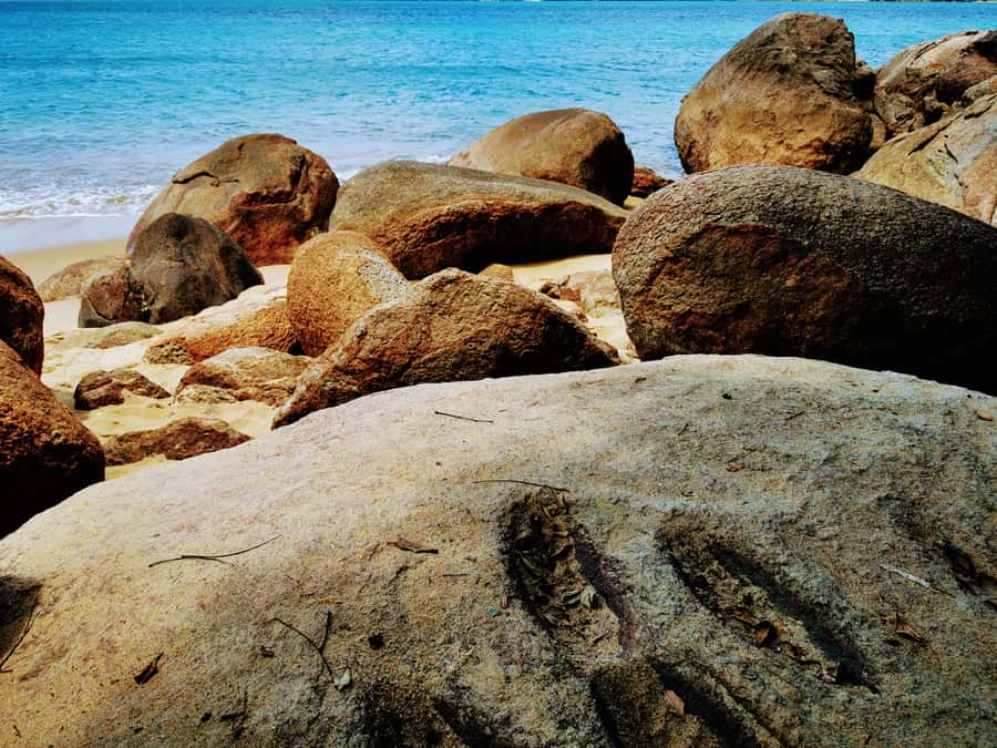 Ilha Grande: Private Historic Walking Tour with Natural Pool - What to bring for a comfortable walk