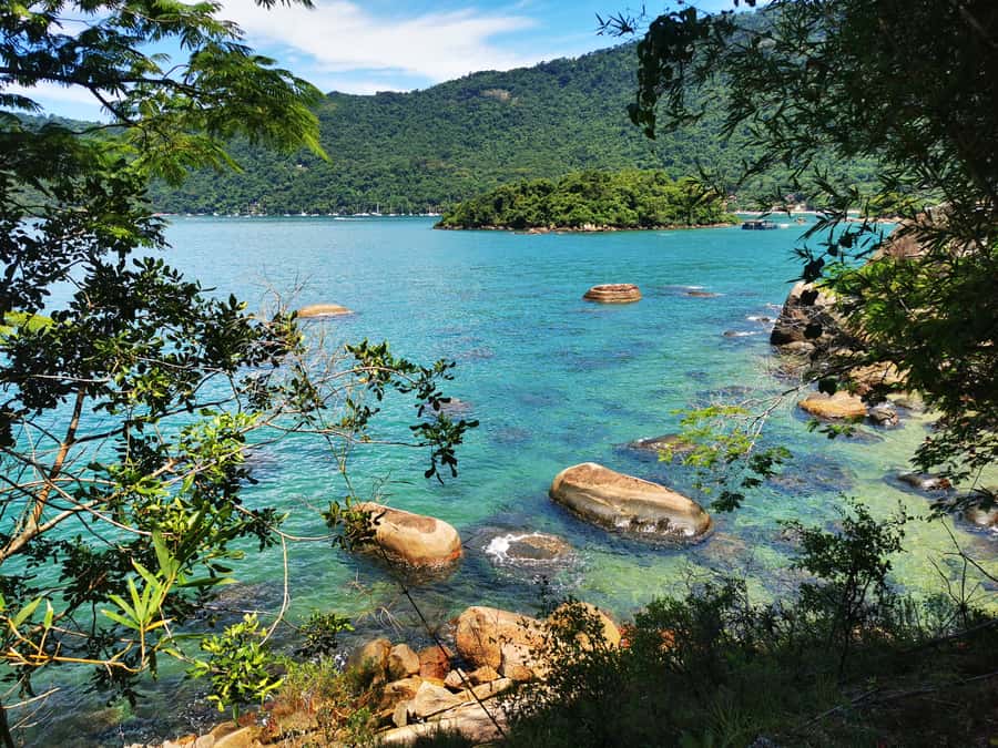 Ilha Grande: Private Historic Walking Tour with Natural Pool - Who will enjoy this Ilha Grande outing?