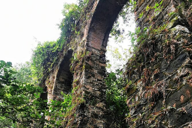 Ilha Grande - Private Historical Walking Tour with Natural Pool. - What the Guides Add to the Day