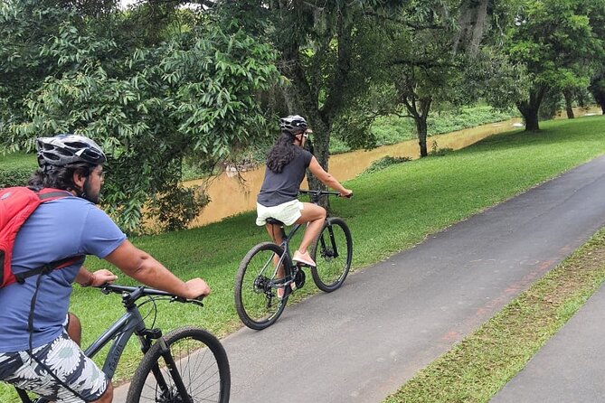 Interparks Cycling Tour Curitiba for small groups - Why Curitiba works so well by bicycle