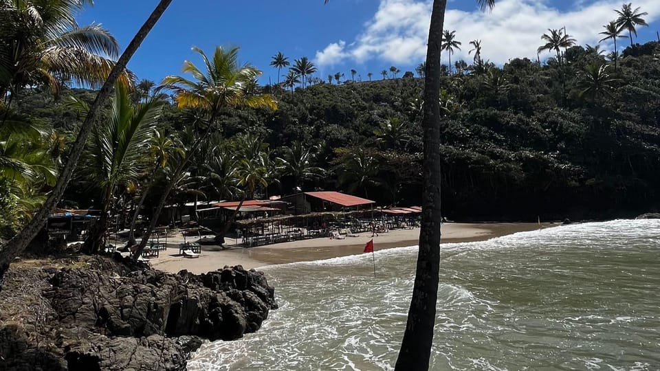 Itacare: 4 Beaches Trail and Tijuipe Waterfall - Key points at a glance