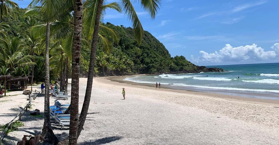 Itacare: 4 Beaches Trail and Tijuipe Waterfall - Why this beach day works