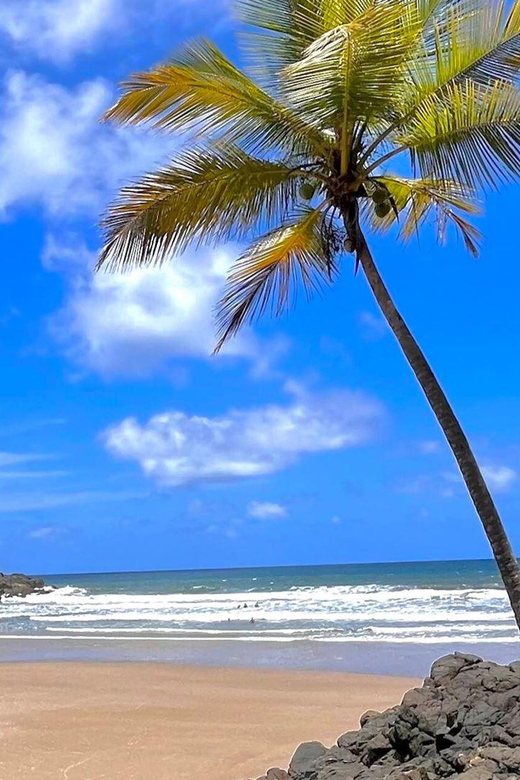 Itacare: 4 Beaches Trail and Tijuipe Waterfall - Havaizinho: the best place to plan lunch