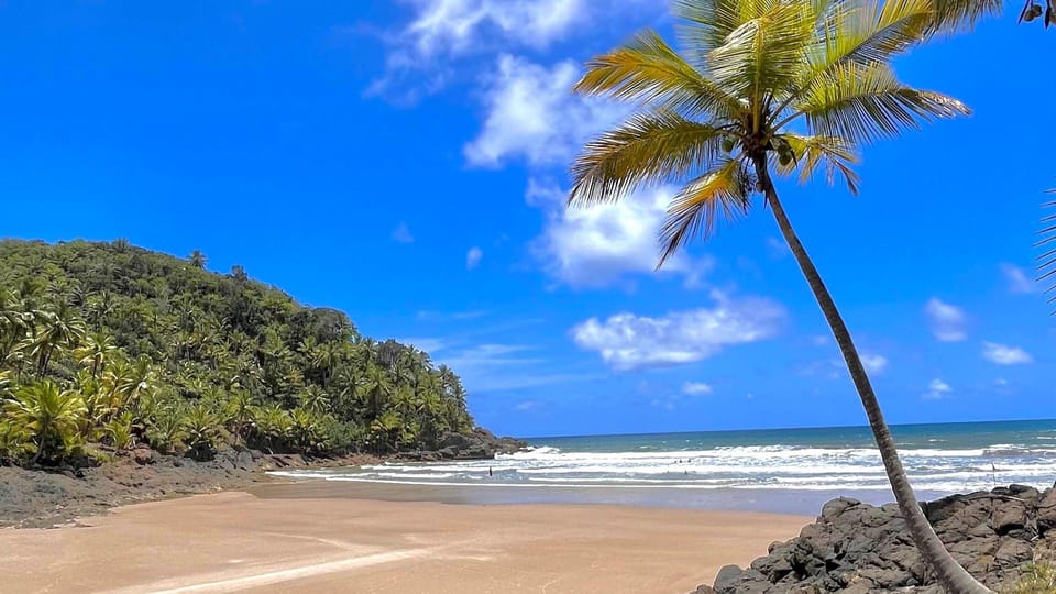 Itacare: 4 Beaches Trail and Tijuipe Waterfall - Engenhoca: where the river meets the sea