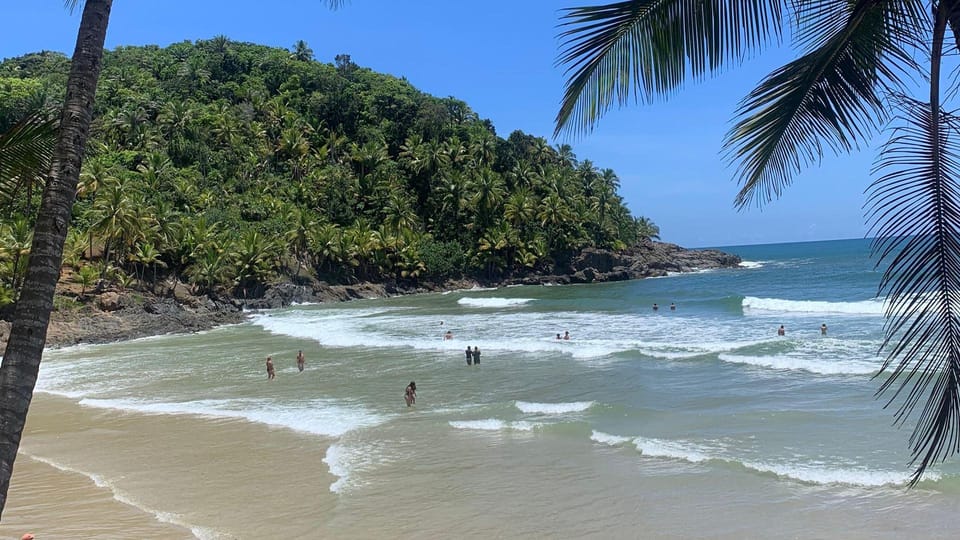 Itacare: 4 Beaches Trail and Tijuipe Waterfall - What the $42 price really covers