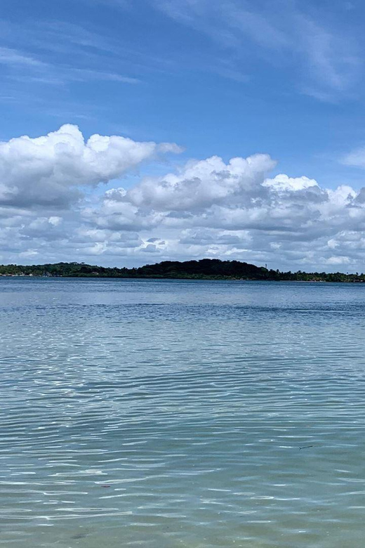 Itacare: Boat ride to the 4 islands of Camamu - Campinho, calm water, and fish below the surface