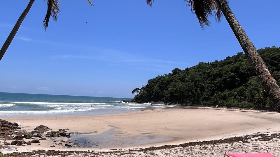 Itacare: Jeribucaçu Trail and Usina Waterfall - The 45-minute walk through Atlantic Forest and mangroves