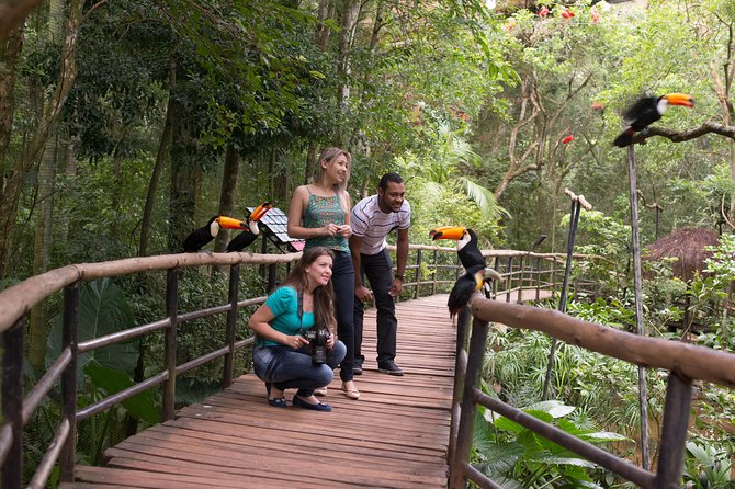 Itaipu Dam & Bird Park & Iguassu Falls Brazilian Side - Private Tour - What the $185 price really buys you