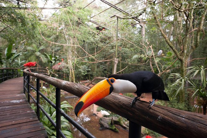 Itaipu Dam & Bird Park & Iguassu Falls Brazilian Side - Private Tour - Who should book this Foz do Iguacu tour