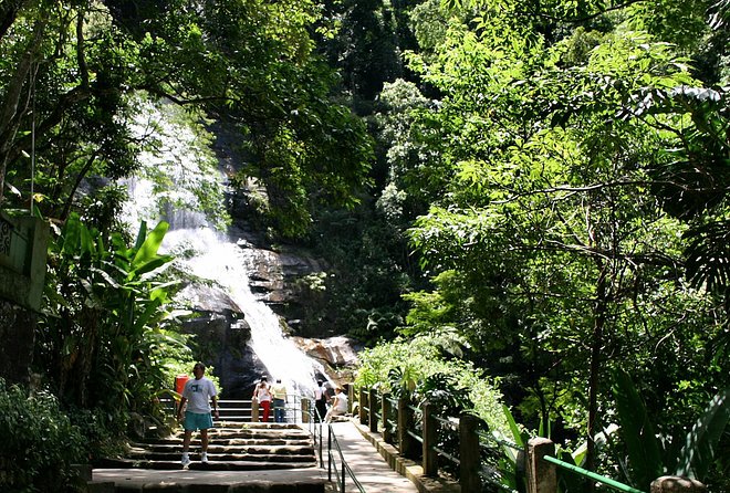 Jeep Adventure: Guided Tour through Tijuca Rain Forest - Tijuca National Park and its reforestation story