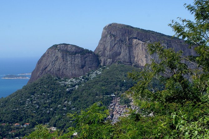 Jeep Adventure: Guided Tour through Tijuca Rain Forest - What the open Jeep adds, and what it does not